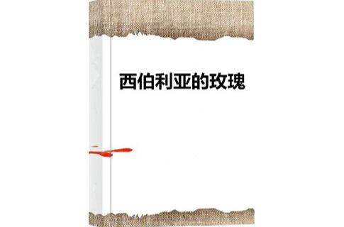 田理 郭婉冬 刘辰璐 黄宣绮 王炳旭 李琛